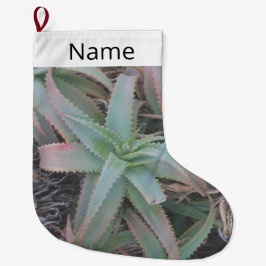 Nevada succulents stor julstrumpa