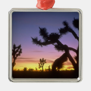 NEVADA. USA. Joshua-träd Yucca brevifolia) Julgransprydnad Metall