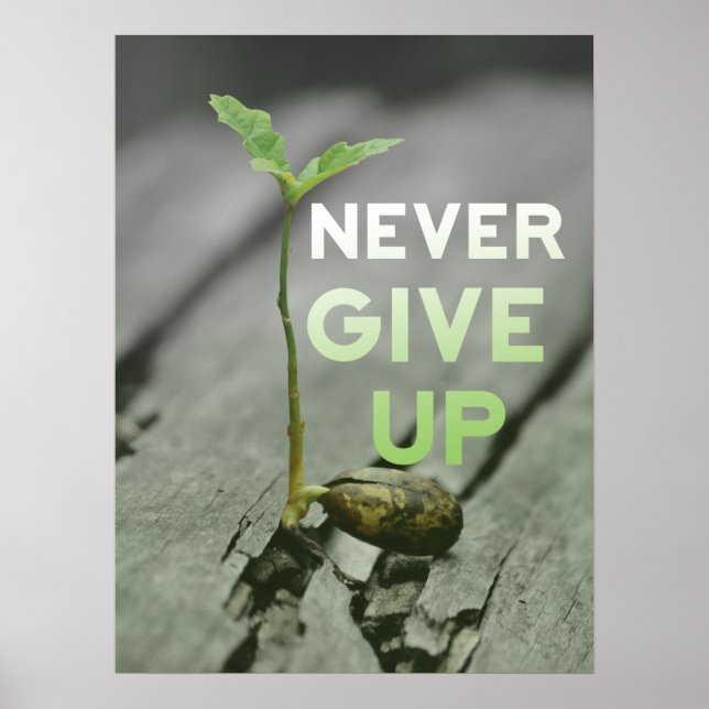 Never Give up Poster (Framsidan)