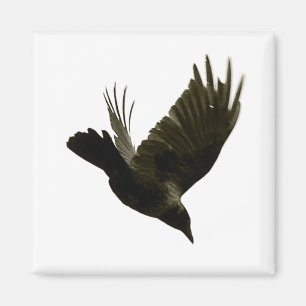 nevermore magnet