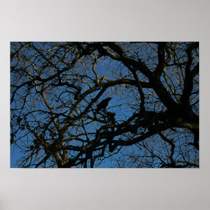 Nevermore Poster