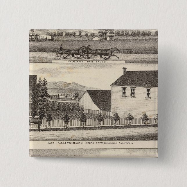 Nevis, Grönt, jordbruk Knapp (Framsida)