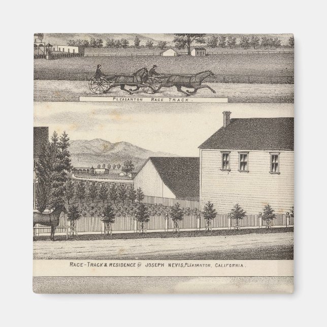 Nevis, Grönt, jordbruk Magnet (Framsidan)