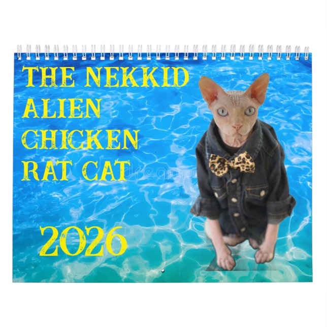 New 2026 Calendar Kalender (Omslag)