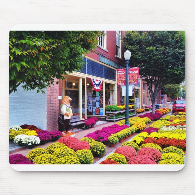 New Bern, North Carolina Musmatta (Framsidan)