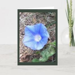 New Blue Morning Glory Blank Kort