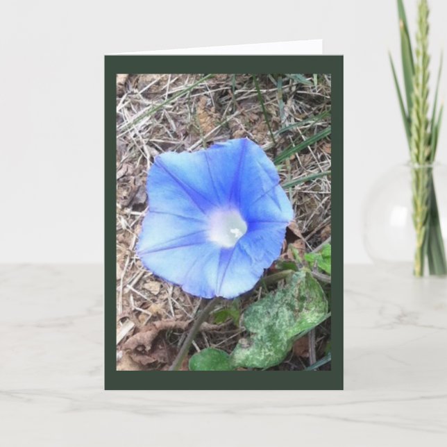 New Blue Morning Glory Blank Kort (Framsida)