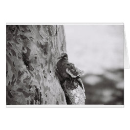 New Born Hälsningskort