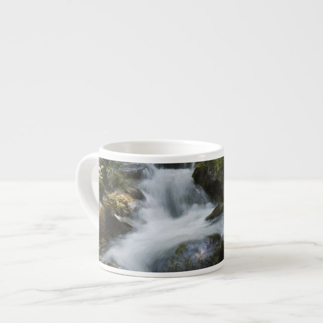 New Brunswick, Kanada. Dickson Falls i Fundy Espressomugg (Framsida vänster)