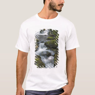 New Brunswick, Kanada. Dickson Falls i Fundy T Shirt