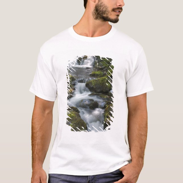 New Brunswick, Kanada. Dickson Falls i Fundy T Shirt (Framsida)