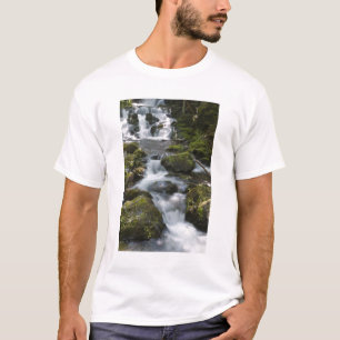 New Brunswick, Kanada. Dickson Falls i Fundy T-shirt