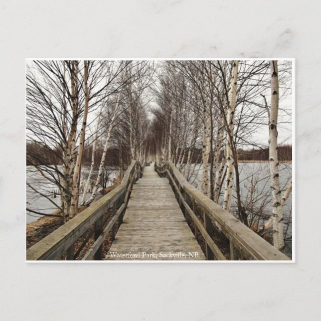 New Brunswick, Kanada vykort (Framsida)