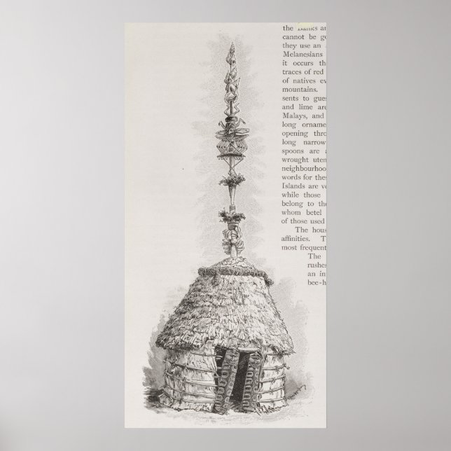 New Caledonian hut Poster (Framsidan)