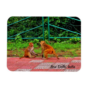 New Delhi, Indien Magnet
