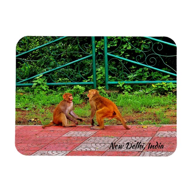 New Delhi, Indien Magnet (Horisontell)