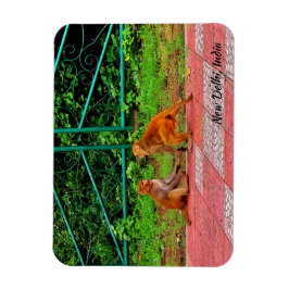 New Delhi, Indien Magnet