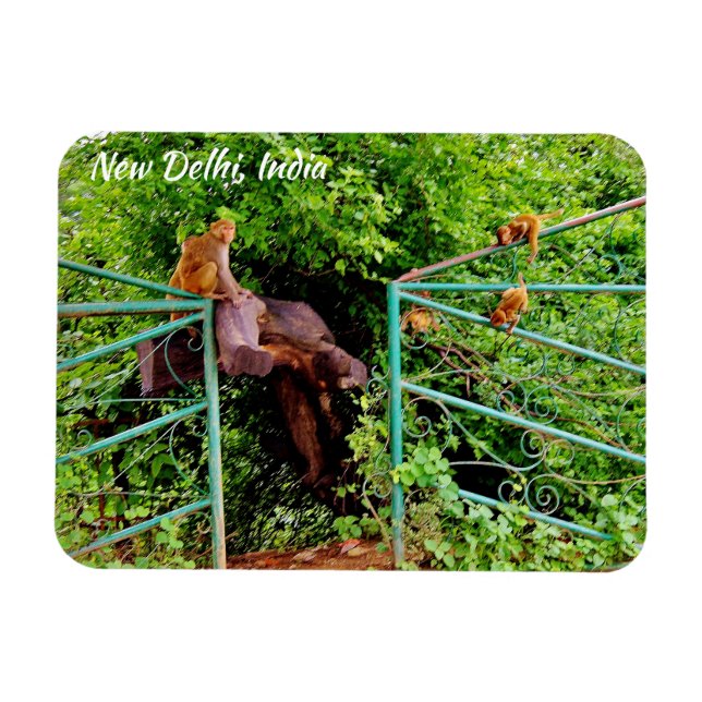New Delhi, Indien Magnet (Horisontell)