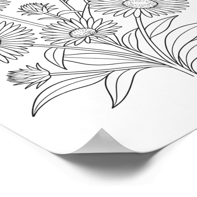 New England Aster Coloring Poster (Hörn)