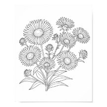 New England Aster Coloring Poster