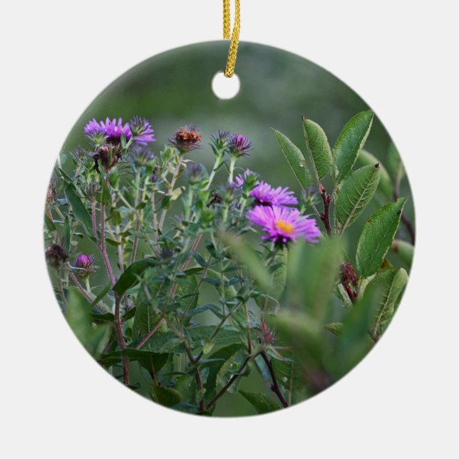 New England Aster Flower Ornament (Framsidan)
