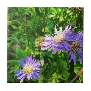 New England Asters Kakelplatta