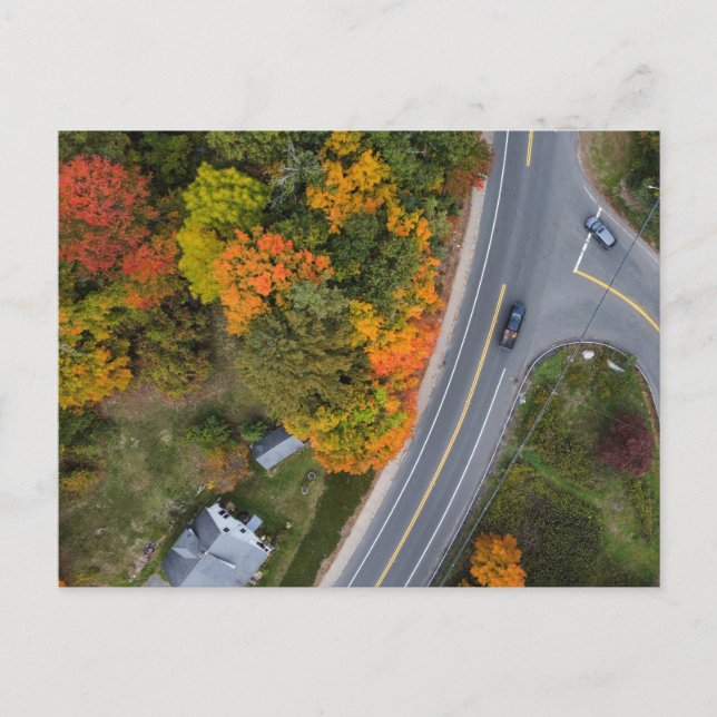 New England Autumn Roadways vykort (Framsida)