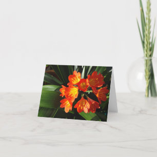 New England blom- notecardsamling Kort