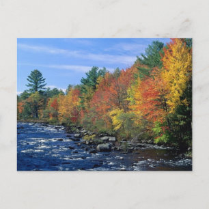 New England Färg Vykort