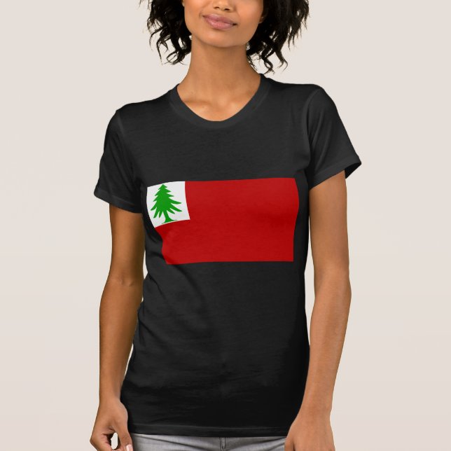New England flagga Tee Shirt (Framsida)