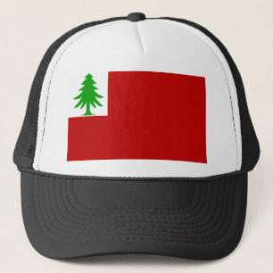 New England flagga Truckerkeps