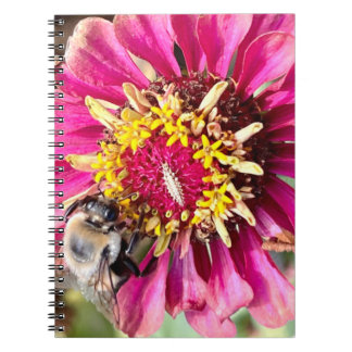 New England Flower Photo Anteckningsbok