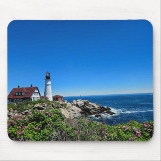 New England fyr musmattan Musmatta