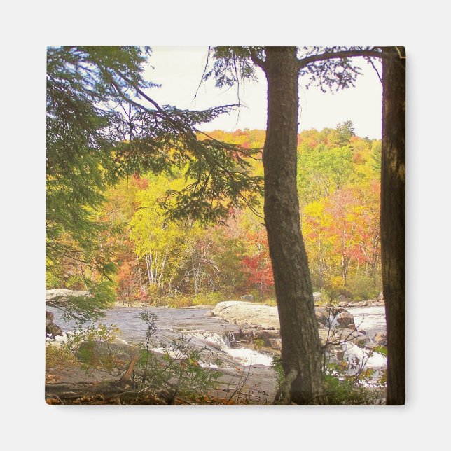New England, höst 127 Magnet (Framsidan)