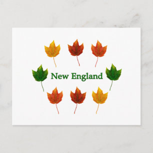 New England Höst löv Vykort