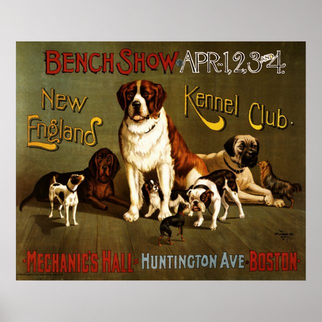 New England Kennel Klubb bench show Poster (Framsidan)