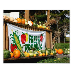 New England Land Farm stand Fall 8x10 Fototryck