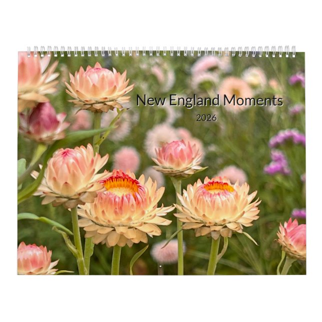 New England-ögonblick 2026 Kalender (Omslag)