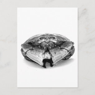 New England Sten Crab I Vykort
