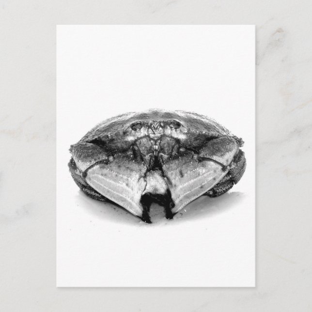 New England Sten Crab I Vykort (Framsida)