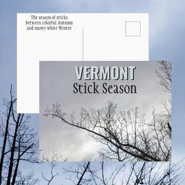 New England Stick Season Vermont Photographic Vykort (Skapare uppladdad)
