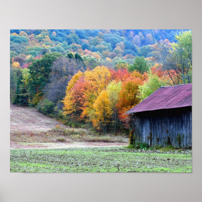 New England Tobacco Barn Autumn Foliage Nature Poster (Framsidan)