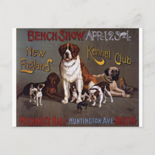 New Englands Vintage Hund Show Postcard Vykort