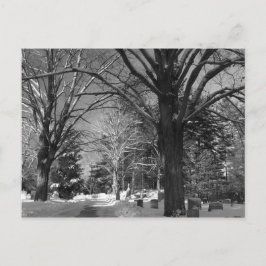 New Englands vinter Vykort