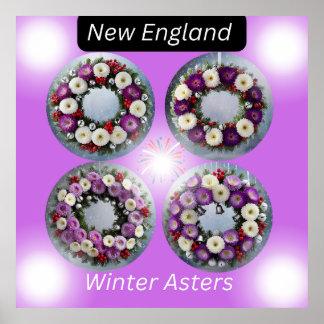 New Englands Winter Asters Wandan Wall Art Poster