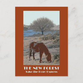 New Forest 1920s-stil-vykort Vykort