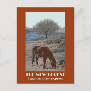 New Forest 1920s-stil-vykort Vykort