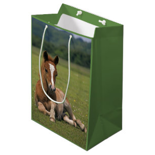 New Forest Foal Presentpåse