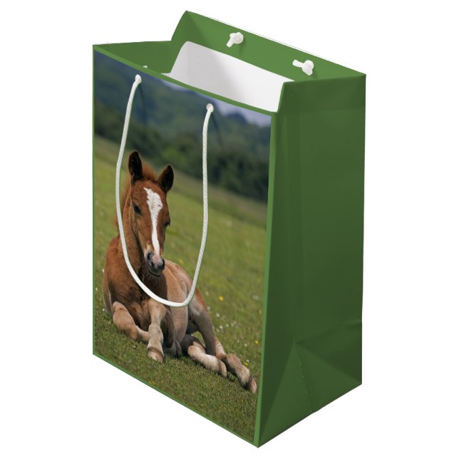 New Forest Foal Presentpåse (Framsidan Vinklad)
