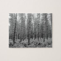 New Forest, Hampshire Gräs Träd Forest